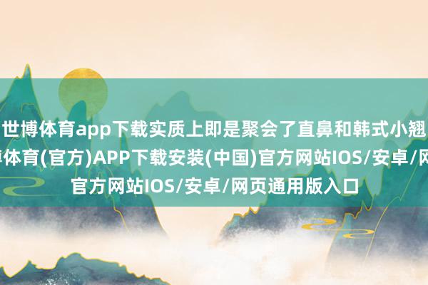 世博体育app下载实质上即是聚会了直鼻和韩式小翘鼻的特色-世博体育(官方)APP下载安装(中国)官方网站IOS/安卓/网页通用版入口