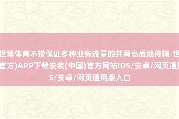 世博体育不错保证多种业务流量的共网高质地传输-世博体育(官方)APP下载安装(中国)官方网站IOS/安卓/网页通用版入口