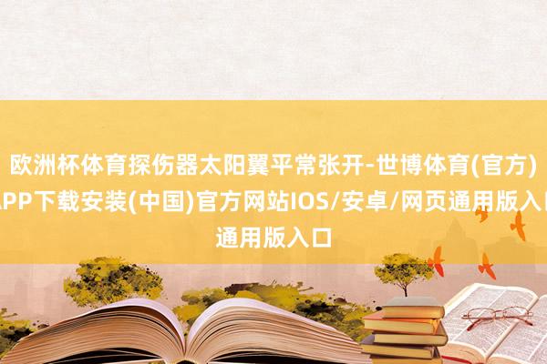 欧洲杯体育探伤器太阳翼平常张开-世博体育(官方)APP下载安装(中国)官方网站IOS/安卓/网页通用版入口