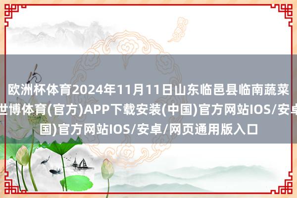 欧洲杯体育2024年11月11日山东临邑县临南蔬菜大阛阓价钱行情-世博体育(官方)APP下载安装(中国)官方网站IOS/安卓/网页通用版入口