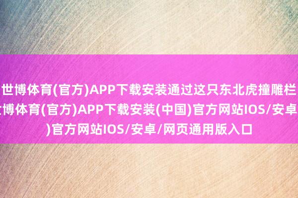 世博体育(官方)APP下载安装通过这只东北虎撞雕栏、铁门等推崇-世博体育(官方)APP下载安装(中国)官方网站IOS/安卓/网页通用版入口